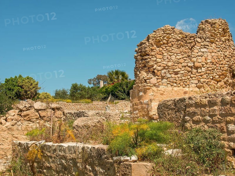 Ruins of ancient stone walls under a clear sky, surrounded by wild plants, Tunis in Africa with Roman ruins, modern mosques and blue and white houses in sidi-bou-said, Tunis, Tunisia, Africa