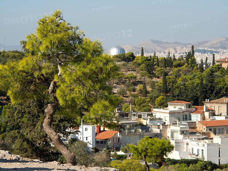 Green trees and houses on a hill overlooking a city, Ancient buildings with columns and trees on the Acropolis in Athens against a blue sky, athens, greece