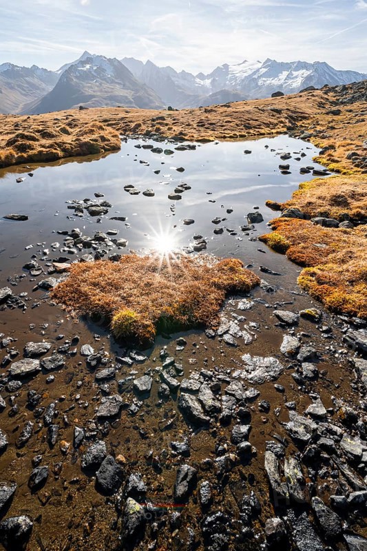 Small lake on the high plateau of the Gurgler Seenplatte, glaciated mountain peaks in the background, in autumn, Sonnenstern, near Obergurgl, Oetztal Alps, Tyrol, Austria, Europe