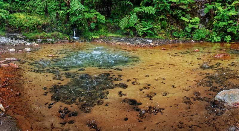 Hot natural thermal spring in Caldeira Velha with rocky shore, surrounded by lush ferns and green vegetation, Caldeira Velha, Gramas, Caldeiras, Sao Miguel, Azores, Portugal, Europe
