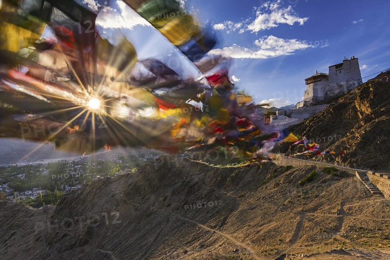 Namgyal Tsemo Gompa Monastery, Tsenmo Hills, Leh, Ladakh, Jammu and Kashmir, India, Asia
