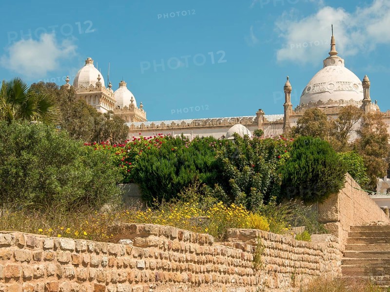 Historic buildings with large domes surrounded by gardens under a blue sky, Tunis in Africa with ruins from Roman times, modern mosques and blue and white houses in sidi-bou-said, Tunis, Tunisia, Africa