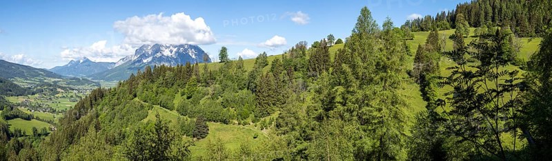 Forest edge, Ennstal, behind the Grimming, panoramic view, near Aigen im Ennstal, Styria, Austria, Europe