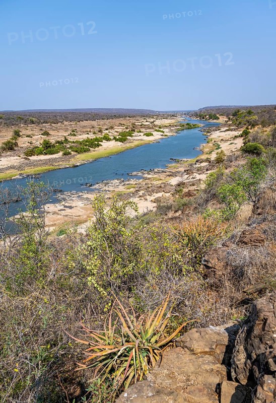 View over dry African savannah, Olifants River, Kruger National Park, South Africa, Africa