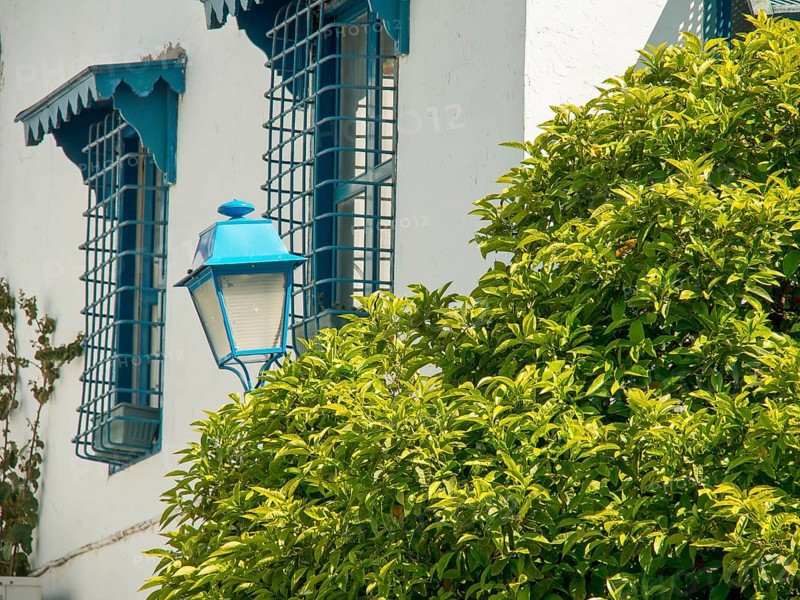 White building with blue shutters and bars, next to it a blue street lamp and green bushes, Mediterranean ambience, Tunis in Africa with ruins from Roman times, modern mosques and blue and white houses in sidi-bou-said, Tunis, Tunisia, Africa