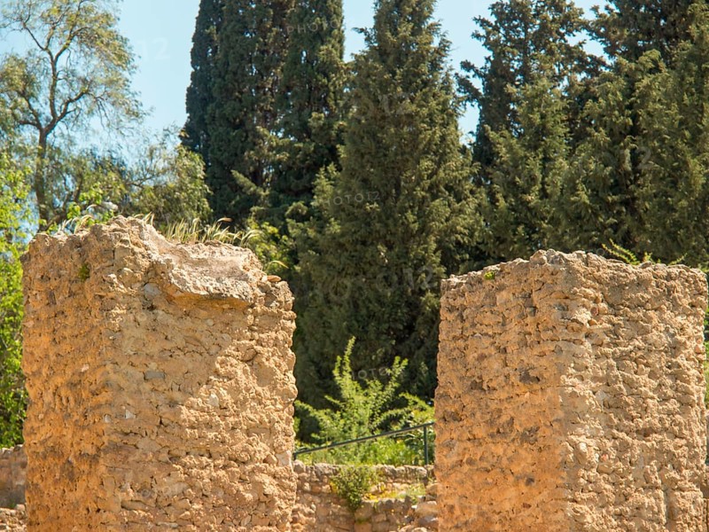 Ancient ruins with trees in the background, under bright sunshine and clear sky, Tunis in Africa with ruins from Roman times, modern mosques and blue and white houses in sidi-bou-said, Tunis, Tunisia, Africa