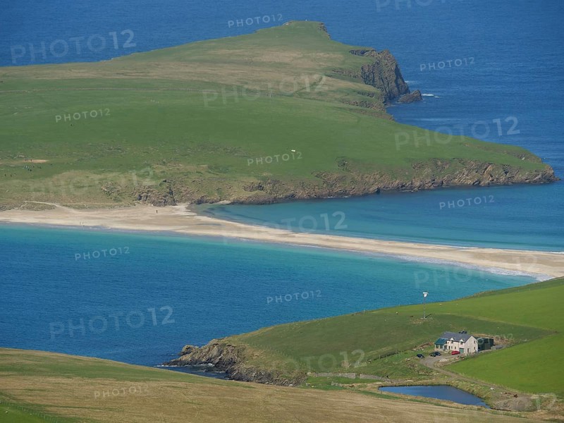 Picturesque coastal landscape with golden sandy beach and lonely house on the green slope in the foreground, green fields on the rugged seashore with blue water, rocks and old houses, lerwick, Scotland, Great Britain