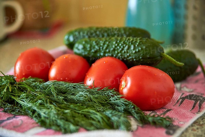 Tomatoes, cucumbers and green dill close-up, fresh harvest, preparation for salad, diet food