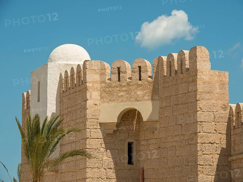 Historical building with white dome and jagged wall, next to it a palm tree in front of a blue sky, Tunis in Africa with ruins from Roman times, modern mosques and blue and white houses in sidi-bou-said, Tunis, Tunisia, Africa