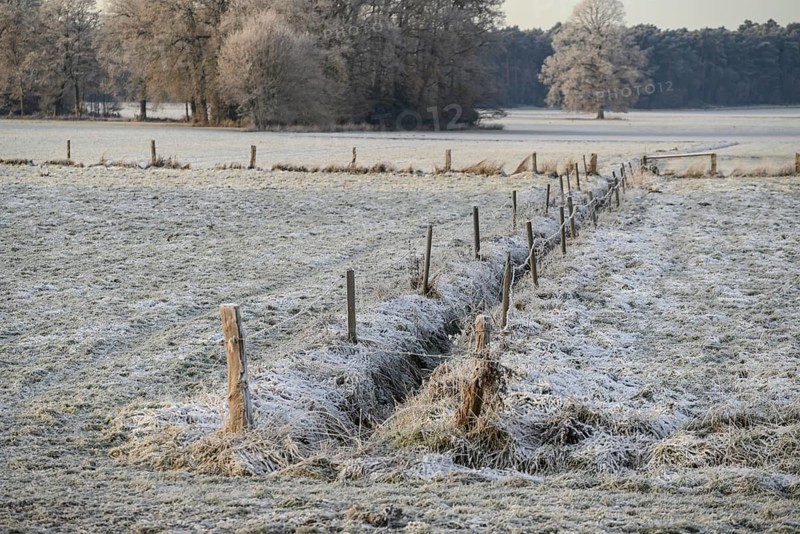 A frozen field with a fence and trees in the background in a frosty winter landscape, Frosty winter time in the early morning on fields and meadows in Muensterland, velen, Germany, Europe
