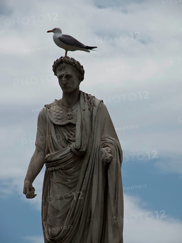 Antique statue with a seagull on its head in front of a cloudy sky, Corsica, Ajaccio, France, Europe