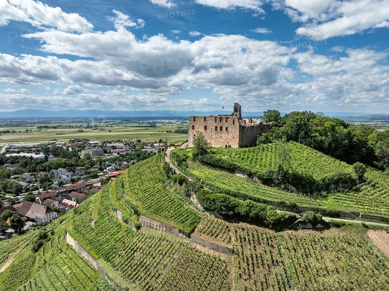 Aerial view of Staufen Castle, on a vineyard, Schlossberg, Staufen im Breisgau, Markgraeflerland, Black Forest, Baden-Wuerttemberg, Germany, Europe