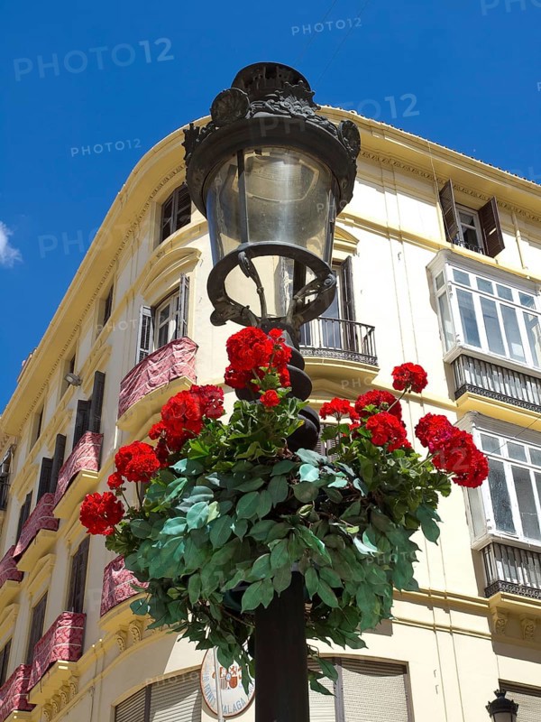 Decorated lantern with red flowers in front of an elegant historic building with balconies and blue sky, the historic fortress of Malaga on the Mediterranean Sea with walls, palm trees, many flowers Malaga, spain