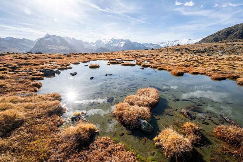 Small lake on the high plateau of the Gurgler Seenplatte, glaciated mountain peaks in the background, in autumn, Sonnenstern, near Obergurgl, Oetztal Alps, Tyrol, Austria, Europe