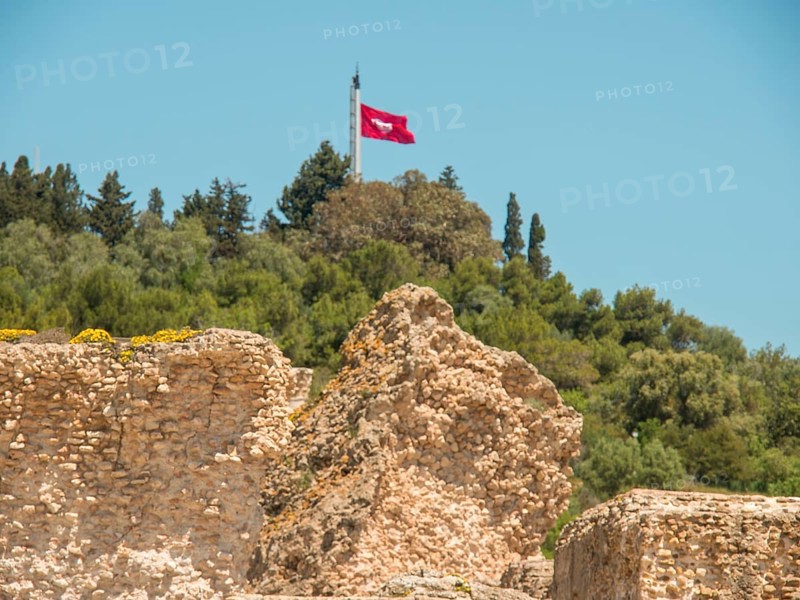 Remains of an ancient wall with waving flag and surrounding trees, Tunis in Africa with ruins from Roman times, modern mosques and blue and white houses in sidi-bou-said, Tunis, Tunisia, Africa