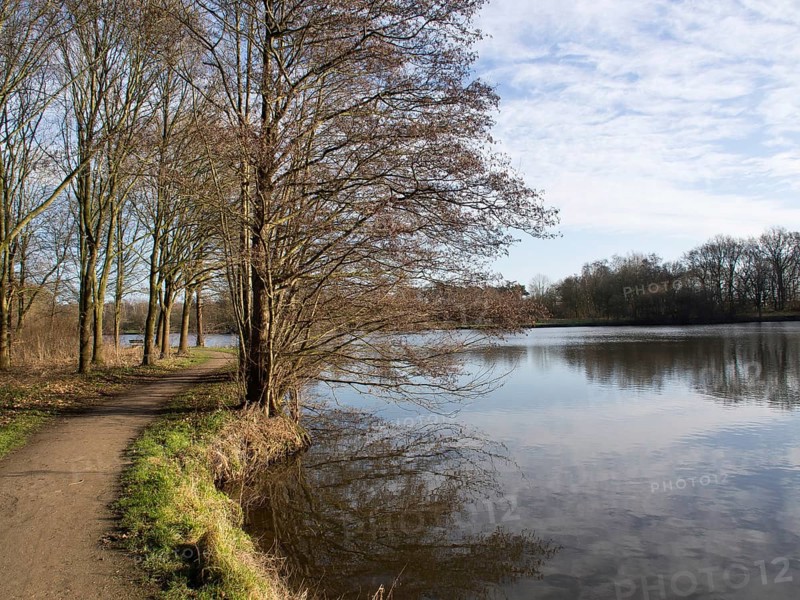 Path along a lake with bare trees, reflections in the water and a blue sky, small lake with hiking trails and trees in Muensterland, Borken, Germany, Europe