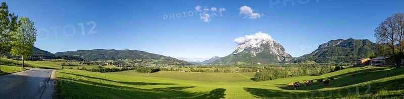 Road leads through a meadow, behind the Grimming, panoramic view, Styria, Austria, Europe