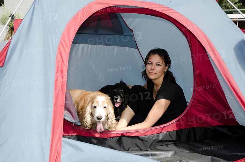 Woman Making Camping and Sitting Inside a Tent with Her Two Cute Cocker Spaniel Dogs in a Sunny Day in Ticino, Switzerland, Europe