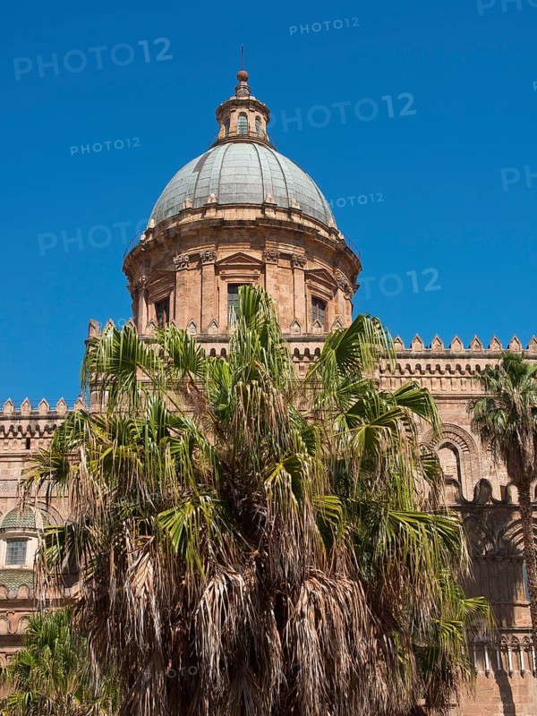 Cathedral with a large dome and palm trees in front of it under a blue sky, palermo in sicily with an impressive cathedral, monuments and old houses with balconies, palm trees and flowers in italy, palermo, sicily