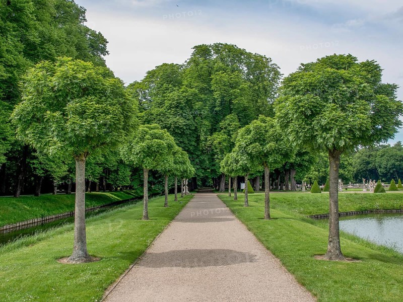 Tree avenue with a path in a green park, blue sky in summer, historic castle with a green park with sculptures and paths, nordkirchen, germany