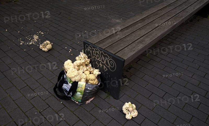 Leftover cauliflower in a bag, bench, Berlin, Germany, Europe