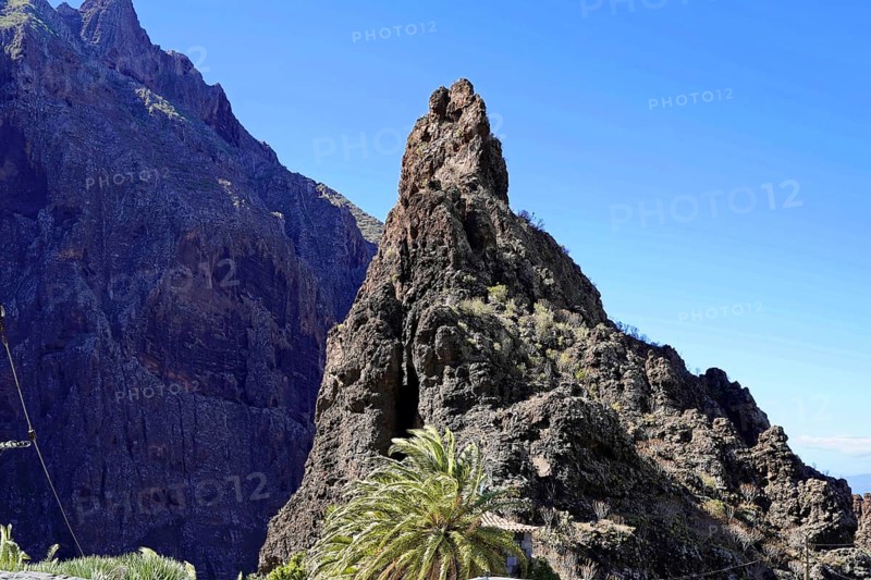 Mountain village Masca, Masca Gorge, Montana Teno Mountains, Tenerife, Canary Islands, Spain, Europe, Towering rock next to a palm tree under a clear blue sky, Europe