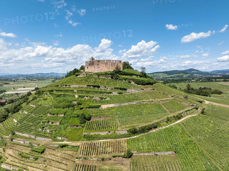 Aerial view of Staufen Castle, on a vineyard, Schlossberg, Staufen im Breisgau, Markgraeflerland, Black Forest, Baden-Wuerttemberg, Germany, Europe
