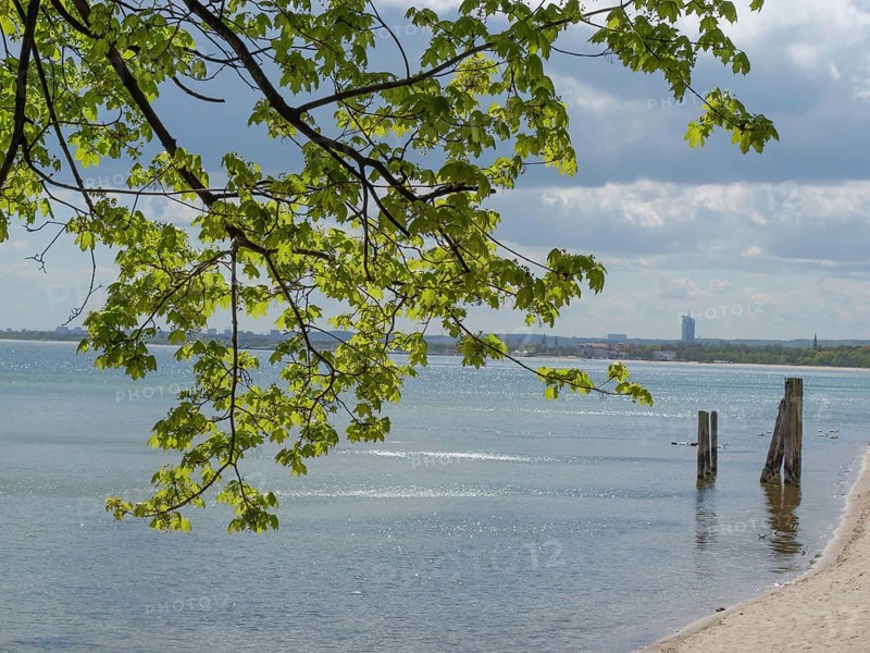 A quiet beach with water and tree branches in the foreground on a sunny day, spring on the Baltic Sea coast with green fishing boats on the beach and green trees on the shore, Sopot, Poland, Europe