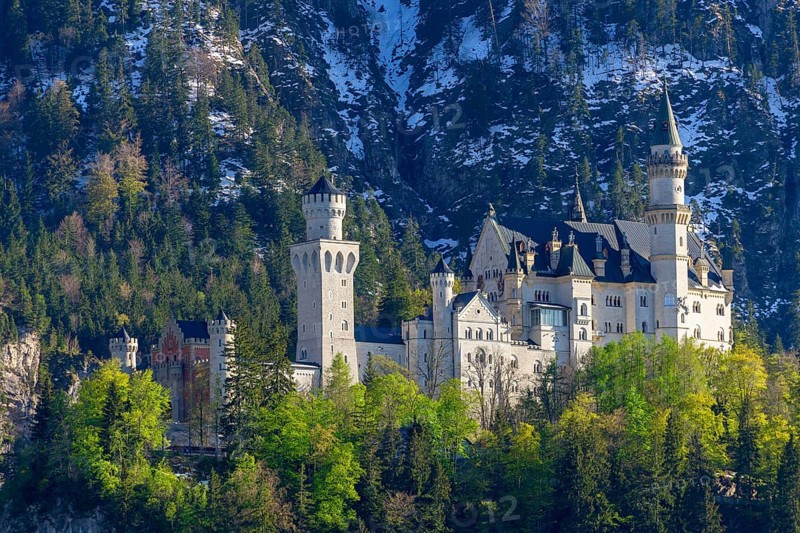Neuschwanstein Castle in spring, Schwangau, Ostallgaeu, Allgaeu, Swabia, Upper Bavaria, Bavaria, Germany, Europe