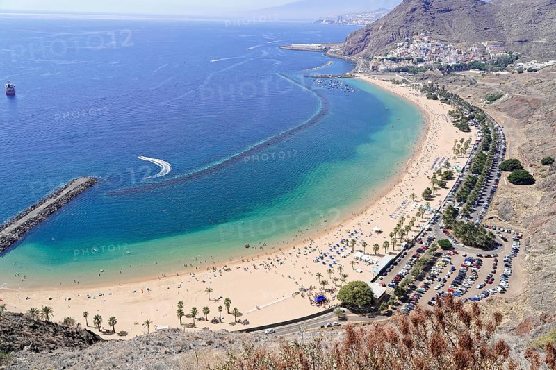 Sandy beach beach Playa de Las Teresitas, near San Andres, Tenerife, Canary Islands, Spain, Europe, Extensive panoramic view over a beach with clear blue sea and numerous palm trees along the coast, Europe