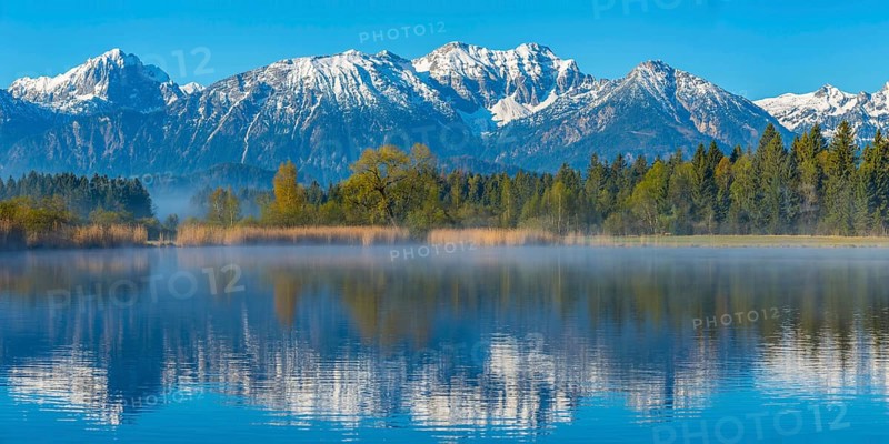 Morning atmosphere at the Hopfensee, near Fuessen, Ostallgaeu, Allgaeu, behind the Allgaeu Alps, Bavaria, Germany, Europe