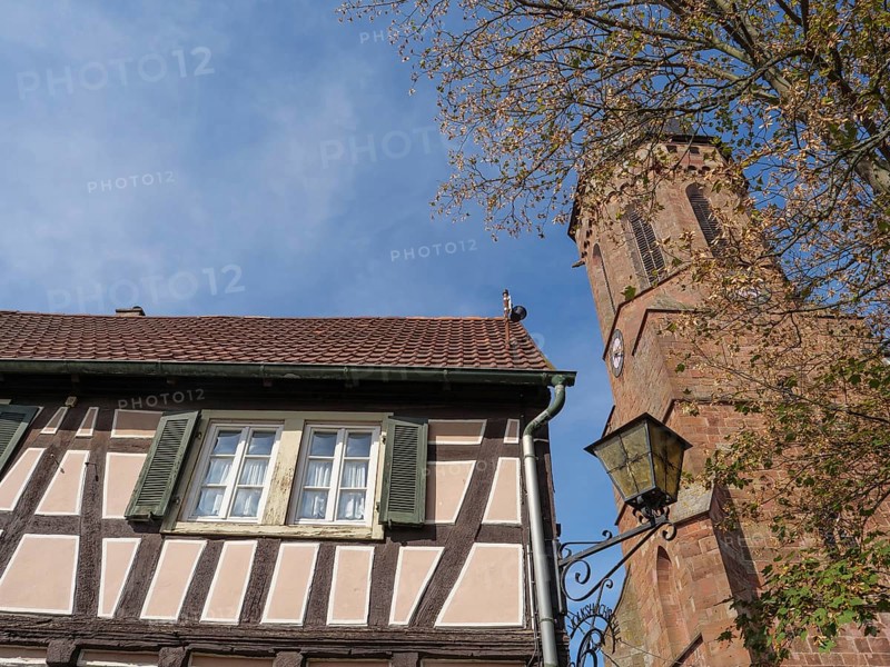 Traditional tower and half-timbered house surrounded by trees under a blue sky, historic half-timbered houses in the Palatinate, kandel, Germany, Europe