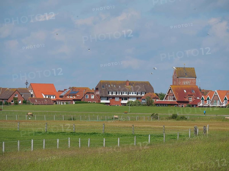 Green fields and fences with a village in the background, sky slightly cloudy, Baltrum Germany