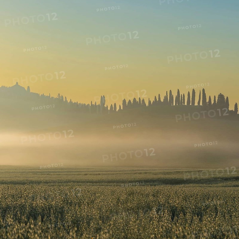 Sunrise in the Crete Senesi, Province of Siena, Tuscany, Italy, Europe