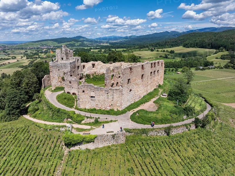 Aerial view of Staufen Castle, on a vineyard, Schlossberg, Staufen im Breisgau, Markgraeflerland, Black Forest, Baden-Wuerttemberg, Germany, Europe