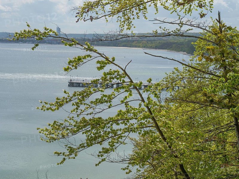 View of a coastal village with a jetty in the calm sea, framed by green trees under a slightly cloudy sky, Green trees on a Baltic Sea beach with clear water, Sopot, poland