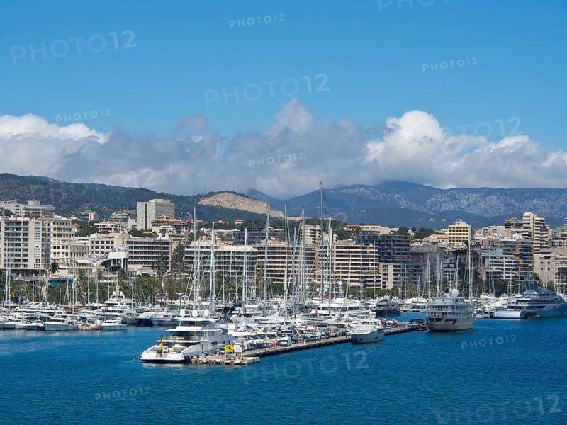 Harbour with numerous yachts and boats in the foreground and a city with mountains in the background under a clear sky, palma de Majorca on the mediterranean sea with its historic houses, the great cathedral and flowers, palma, spain
