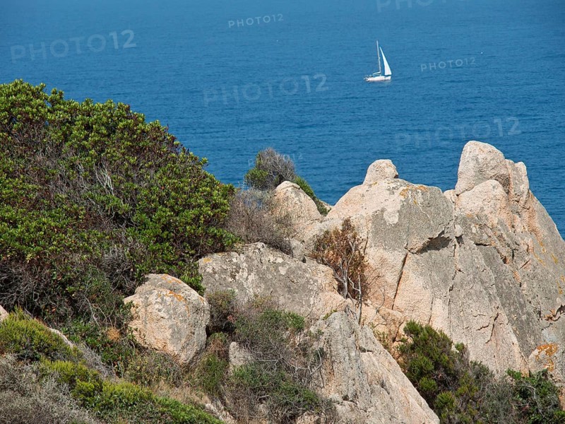 Natural coast with large rocks and bushes and a sailing boat in the sea, Corsica, Ajaccio, France, Europe
