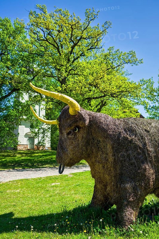 Bull sculpture made of hay, Wredenhagen, municipality of Eldetal, Mecklenburg-Vorpommern, Germany, Europe