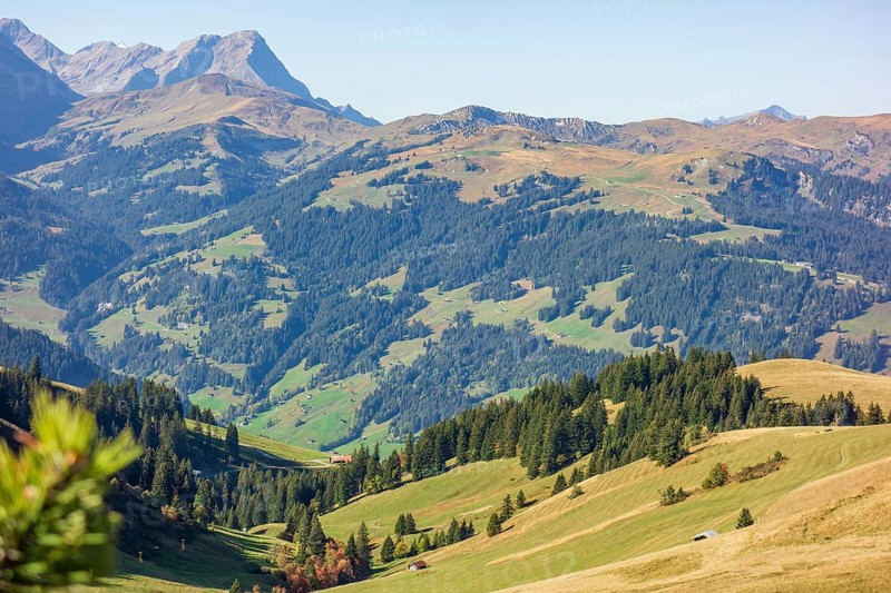 Green forests and meadows under a clear blue sky, surrounded by high mountains, mountain panorama with rugged mountains and green valleys, saas fee, Switzerland, Europe