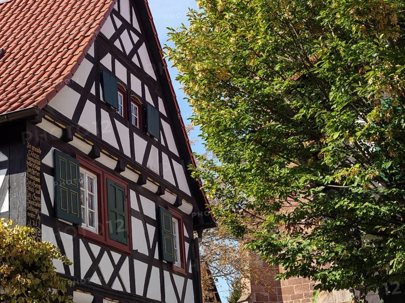 Half-timbered house with green shutters and a green tree in summer, historic half-timbered houses in the Palatinate, kandel, Germany, Europe