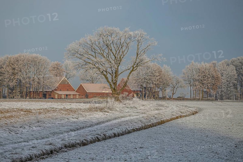 A farm with frozen trees and a frozen field in a quiet winter landscape, Frosty winter time in the early morning on fields and meadows in Muensterland, Velen, Germany, Europe