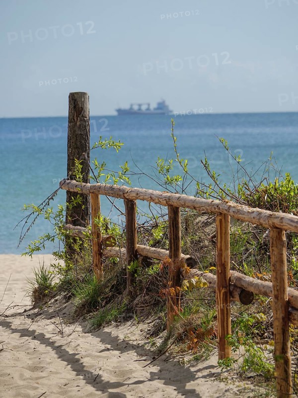 View of a sandy beach with a wooden railing in the foreground and a ship on the horizon, spring on the Polish Baltic Sea coast with green trees and clear water, Gdansk, Poland, Europe