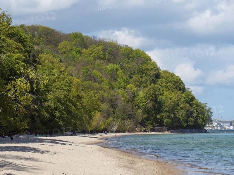 Long sandy beach with dense forest in the background, under a partly cloudy sky, Green trees on a Baltic Sea beach with clear water, Sopot, poland