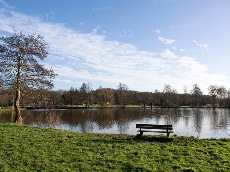 Park bench on the lakeshore with a wide view of the grassy banks and wooded background, small lake with hiking trails and trees in Muensterland, Borken, Germany, Europe