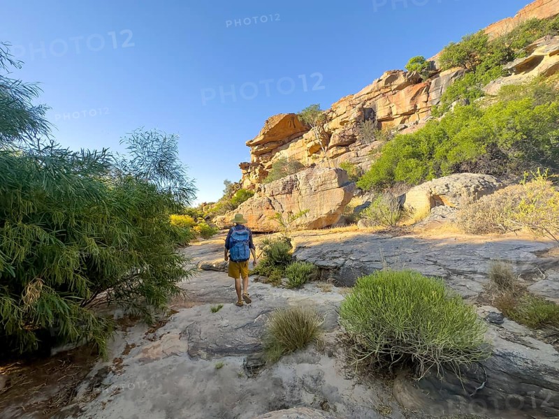 Hikers on the Seville Art Rock Trail, dry landscape with yellow rocks, Cederberg Mountains, near Clanwilliam, Western Cape, South Africa, Africa