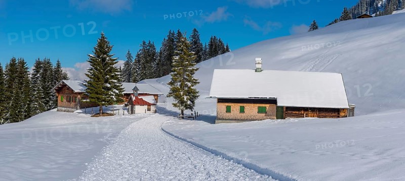 Panorama Hoehenweg, Kleinwalsertal, Allgaeu Alps, Vorarlberg, Austria, Europe