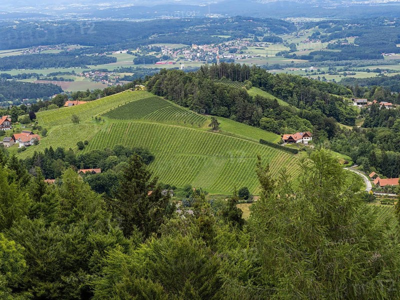 Hilly landscape, vineyards, view from the Demmerkogel lookout point, St. Andrae-Hoech, Sausal wine country, Styria, Austria, Europe