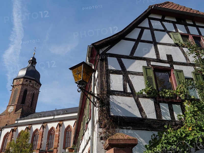 A half-timbered house with green ivy next to a church with gothic architecture and a tower in the sunlight, historic half-timbered houses in the Palatinate, kandel, Germany, Europe