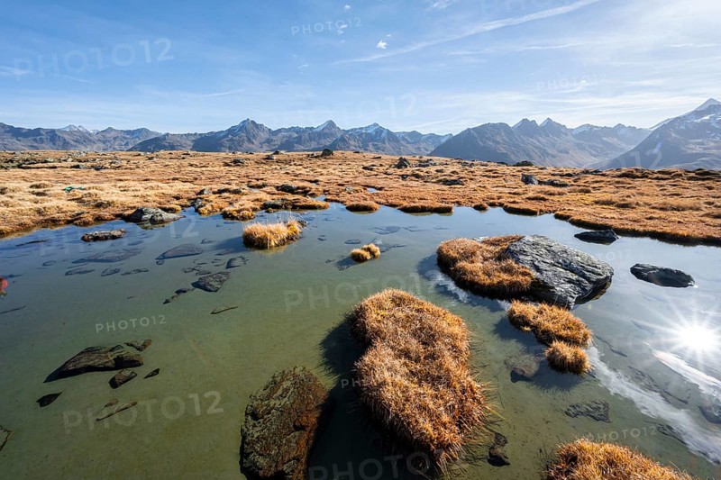 Small lake on the high plateau of the Gurgler Seenplatte, glaciated mountain peaks in the background, in autumn, Sonnenstern, near Obergurgl, Oetztal Alps, Tyrol, Austria, Europe